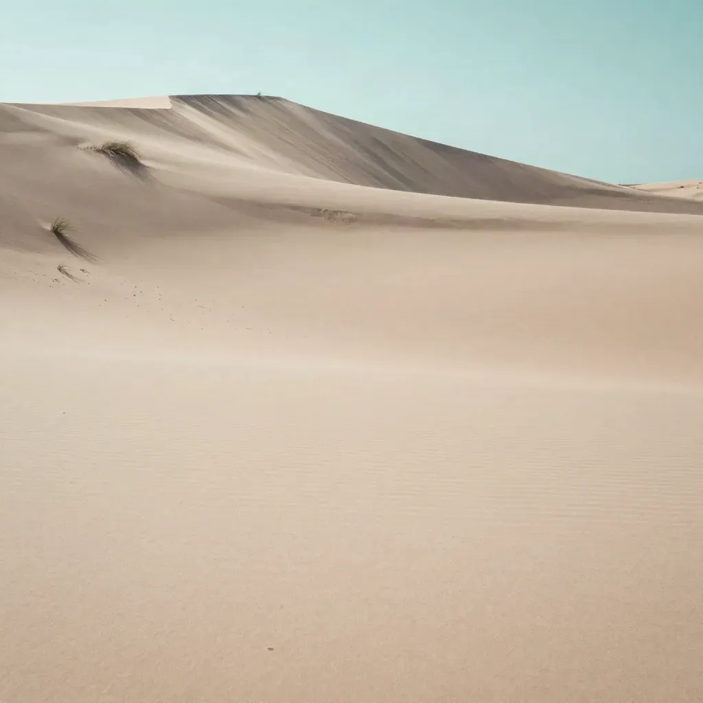 Dune de sable avec arête sombre, herbe discrète et sable porté par le vent.